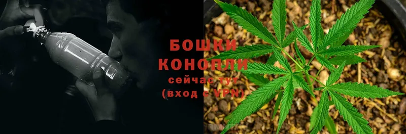 Канабис Ganja  Боготол 